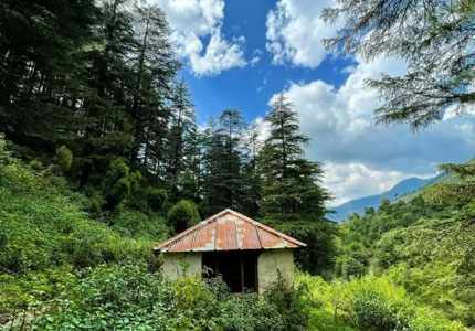 Self Drive Cars from Dehradun